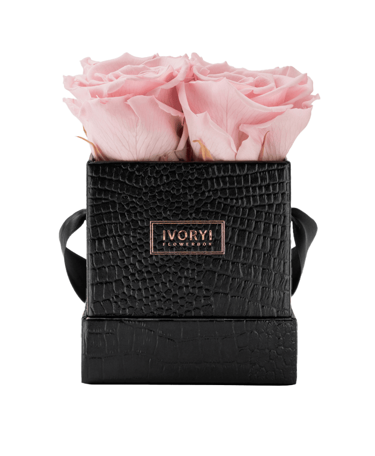 Die Ivoryi & Friends Ivoryi Flowerbox Small Black Blush Rose enthält hellrosa konservierte Rosen, hübsch arrangiert in einer strukturierten schwarzen Box mit IVORY-Etikett. Handgefertigt in Deutschland für zeitlose Eleganz.