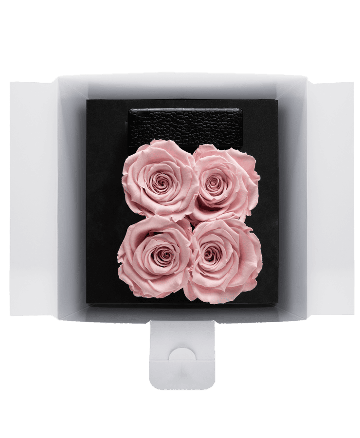 Die Ivoryi Flowerbox Small Black Blush Rose von Ivoryi & Friends besteht aus drei rosa konservierten Rosen in einer schwarzen Box, eingebettet in eine weiße Geschenkbox mit einem kleinen schwarzen, strukturierten Gegenstand dahinter. Handgefertigt in Deutschland.