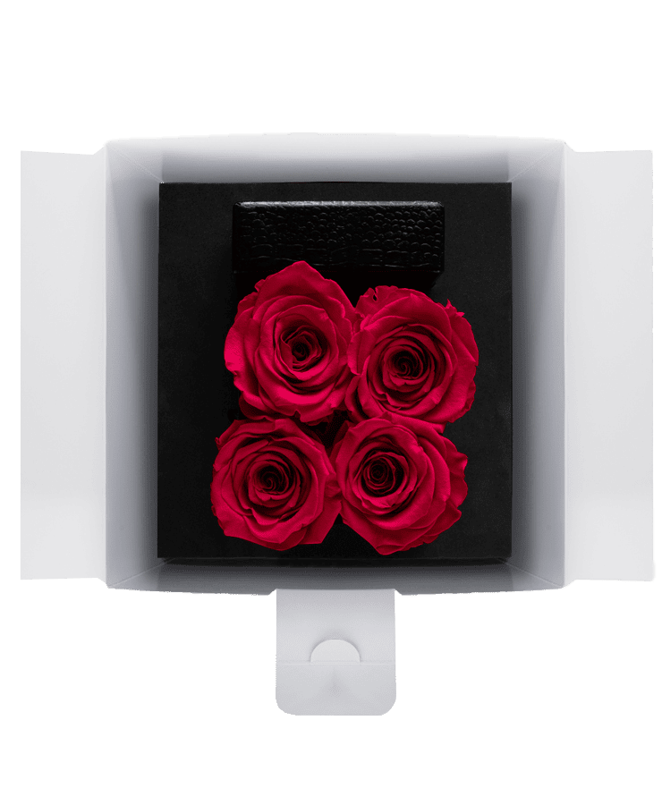 Eine geöffnete Ivoryi & Friends Ivoryi Flowerbox Small Black New Pink zeigt drei leuchtend rote Rosen, die dicht beieinander auf einem schwarzen Sockel angeordnet sind, gekrönt von einem kleinen strukturierten schwarzen rechteckigen Objekt über den Blumen.