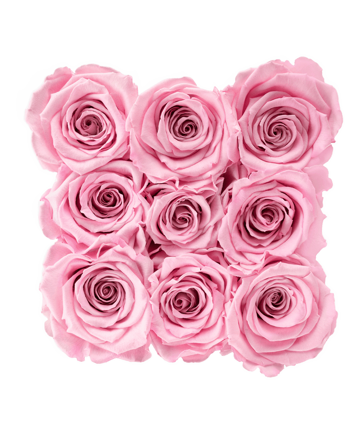 Neun errötende Rosen aus der Ivoryi Flowerbox Medium Perlmutt Blush Rose von Ivoryi & Friends, arrangiert in einem hübschen 3x3-Quadrat auf Weiß – für die Eleganz der Miami Vibes Edition mit exquisit konservierten Rosen.