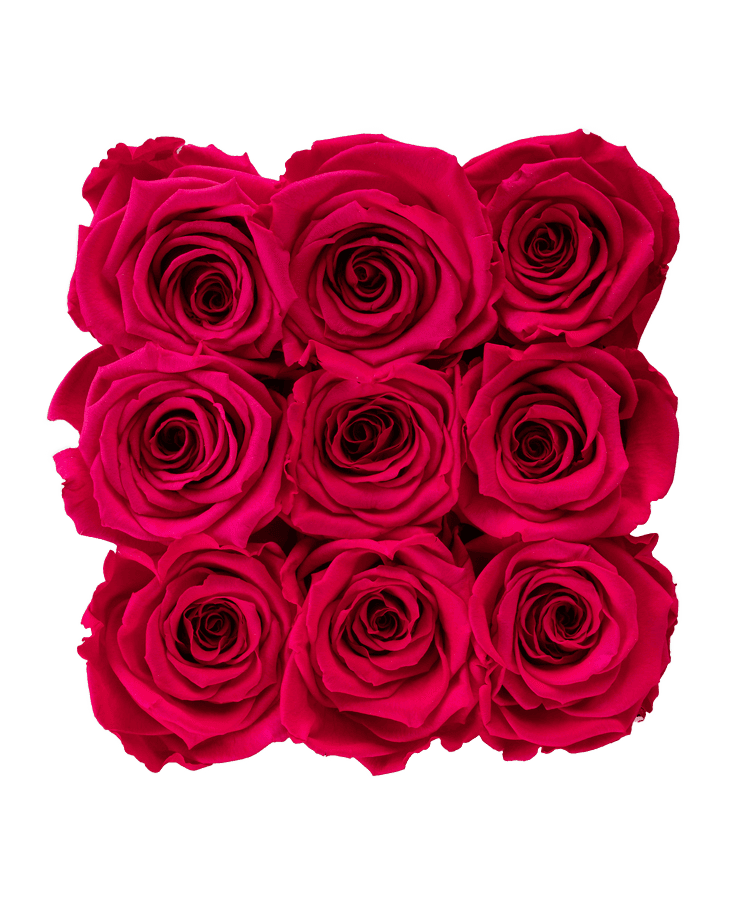 Neun üppige, neue rosa Rosen von Ivoryi & Friends sind in einem engen 3x3-Quadrat vor einem transparenten Hintergrund angeordnet und erzeugen so das dichte, auffällige Blumenmuster einer Ivoryi Flowerbox Medium Black New Pink.