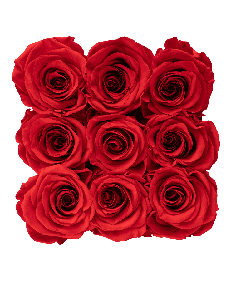 Eine Draufsicht auf die Ivoryi Flowerbox Medium Perlmutt Romantic Red von Ivoryi & Friends zeigt neun leuchtend rote konservierte Rosen, die in einem engen Quadrat in einer durchsichtigen Box vor einem transparenten Hintergrund angeordnet sind.