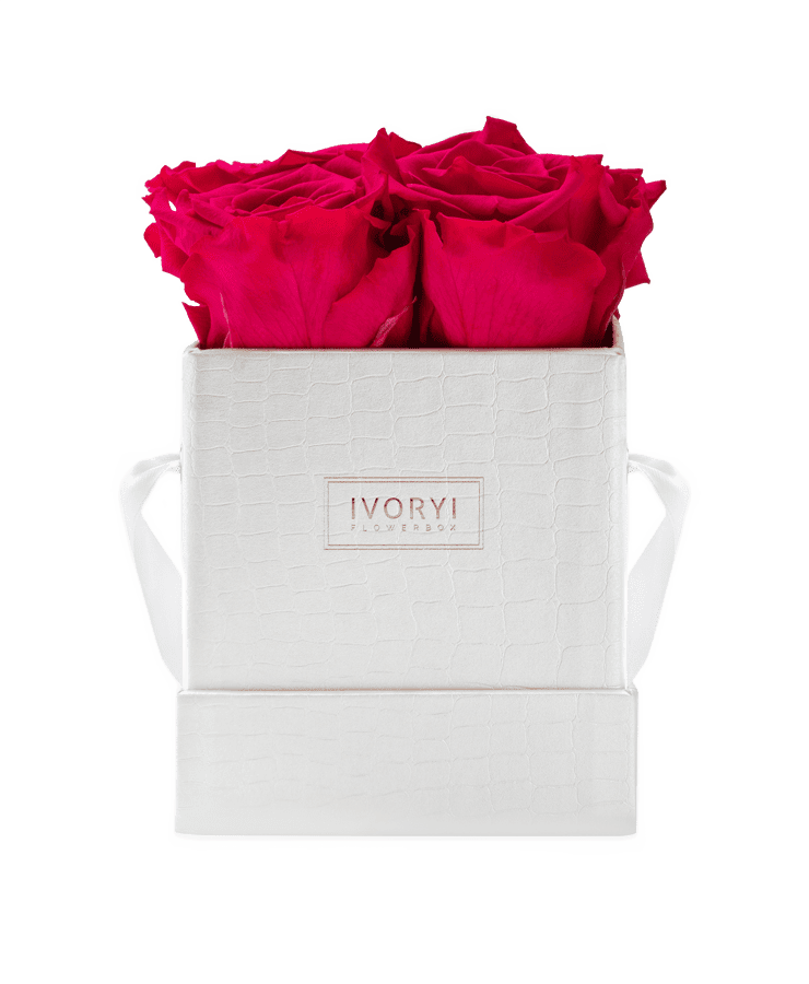 Die Ivoryi & Friends Ivoryi Flowerbox Small Perlmutt New Pink ist eine weiße strukturierte Box, die vier leuchtend rosa konservierte Rosen enthält, die ordentlich darin angeordnet sind.