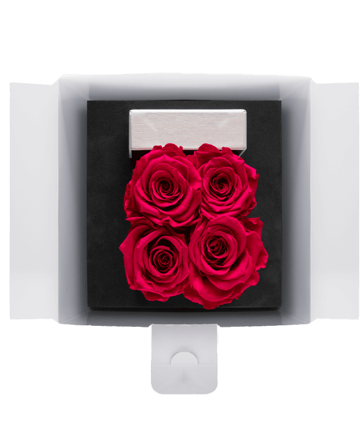 Eine geöffnete Ivoryi & Friends Flowerbox Small Perlmutt New Pink zeigt drei leuchtende konservierte Rosen in einem Quadrat auf schwarzem Hintergrund, darüber eine geschlossene weiße Box. Handgefertigt in Deutschland.