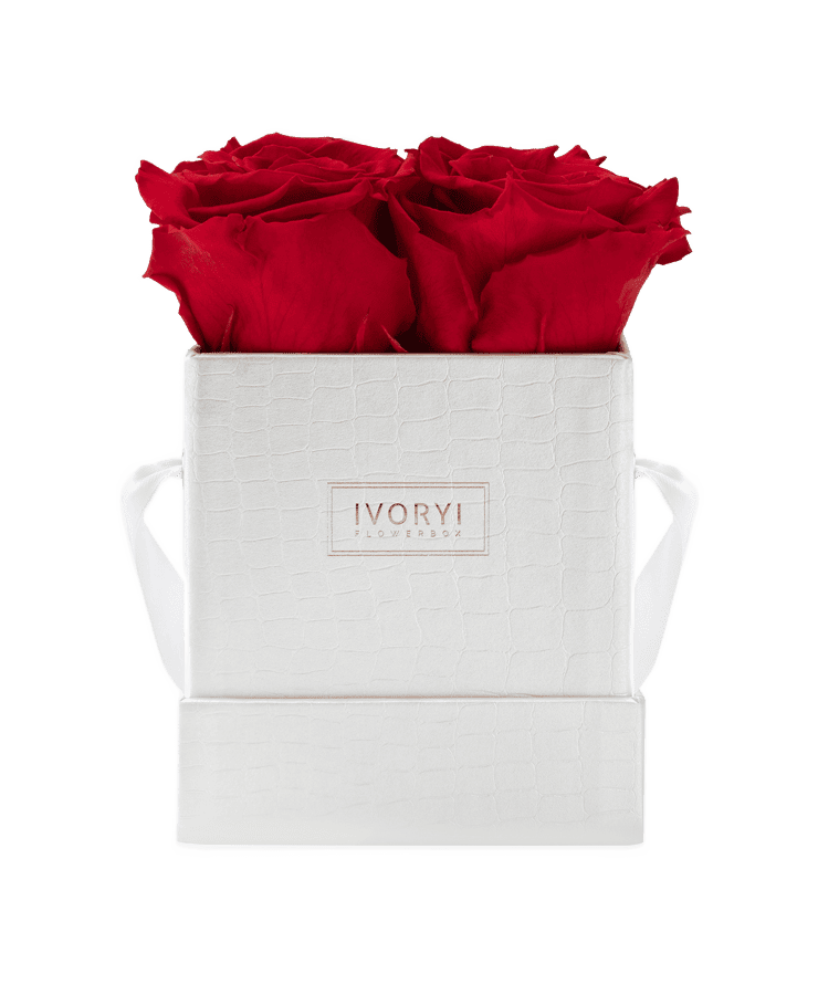 Die Ivoryi Flowerbox Small Perlmutt Romantic Red von Ivoryi & Friends enthält vier leuchtende konservierte Rosen in einer weißen strukturierten Box mit zwei weißen Bandgriffen – perfekt für die Miami Vibes Edition.