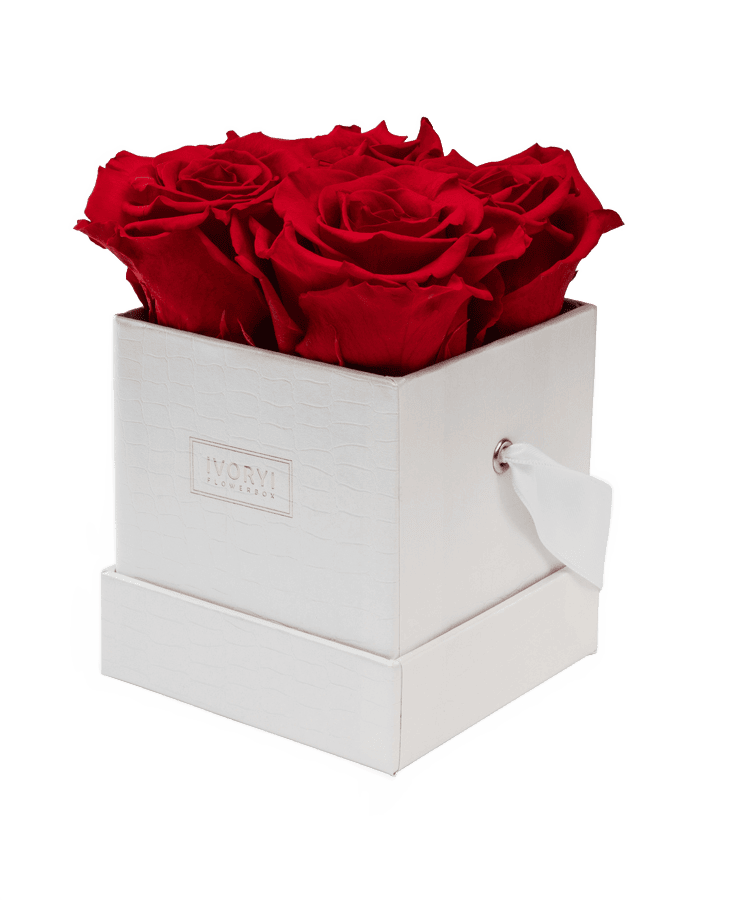 Die Ivoryi & Friends Ivoryi Flowerbox Small Perlmutt Romantic Red besteht aus einer weißen strukturierten Box mit einem Griff und Etikett aus Band, gefüllt mit großen, leuchtend roten konservierten Rosen aus der Miami Vibes Edition.