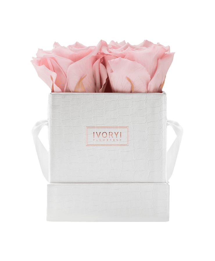Die Ivoryi Flowerbox Small Perlmutt Blush Rose von Ivoryi & Friends ist eine weiße strukturierte Box mit Griffen, in deren Inneren wunderschön arrangierte hellrosa konservierte Rosen aufbewahrt werden.