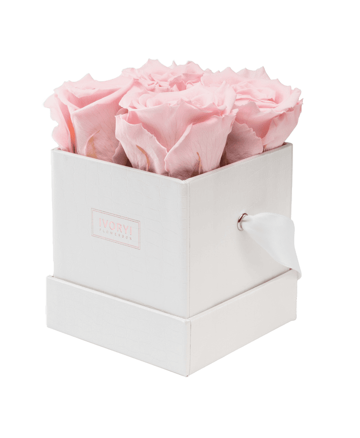 Die Ivoryi & Friends Ivoryi Flowerbox Small Perlmutt Blush Rose besteht aus einer strukturierten weißen quadratischen Box mit vier großen, konservierten Rosen in Blush-Farbe und einem weißen Schleifenverschluss – ideal für die Miami Vibes Edition.
