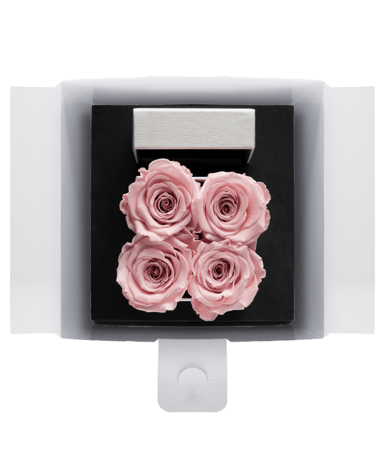 Eine Ivoryi & Friends Ivoryi Flowerbox Small Perlmutt Blush Rose mit vier rosa konservierten Rosen in einem Quadrat und einer kleinen weißen Geschenkbox darin, von oben auf schwarzem Hintergrund gesehen.