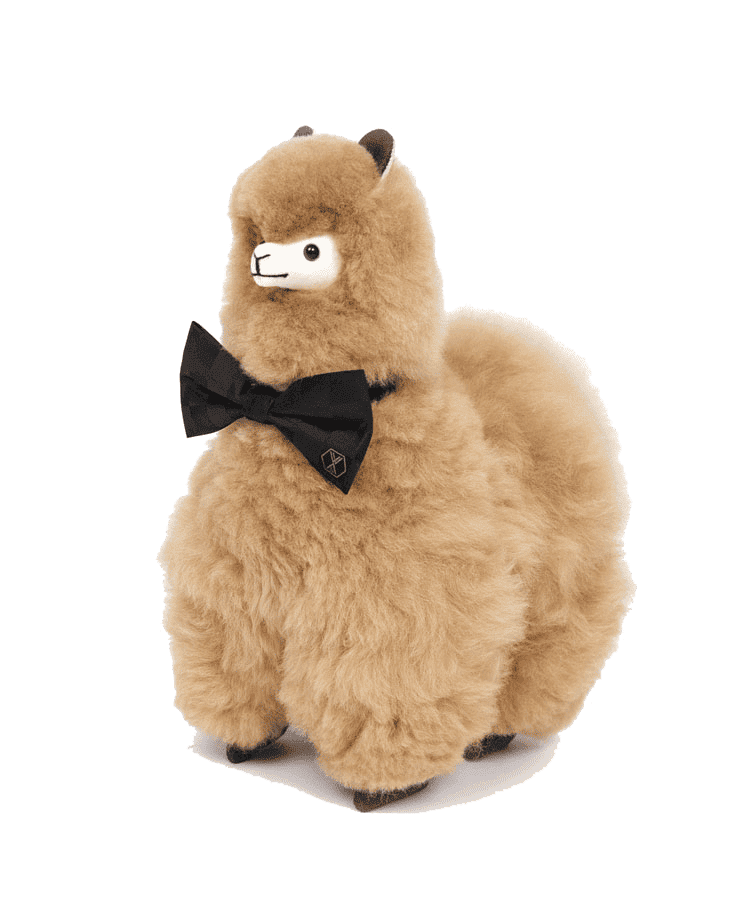 Das Alpaka Stofftier PACO Champagne von Weich Couture Alpaka ist ein Plüschtier mit flauschigem hellbraunem Fell, schwarzen Augen, einem lächelnden weißen Gesicht und einer schwarzen Fliege, das auf allen Vieren vor einem weißen Hintergrund steht.