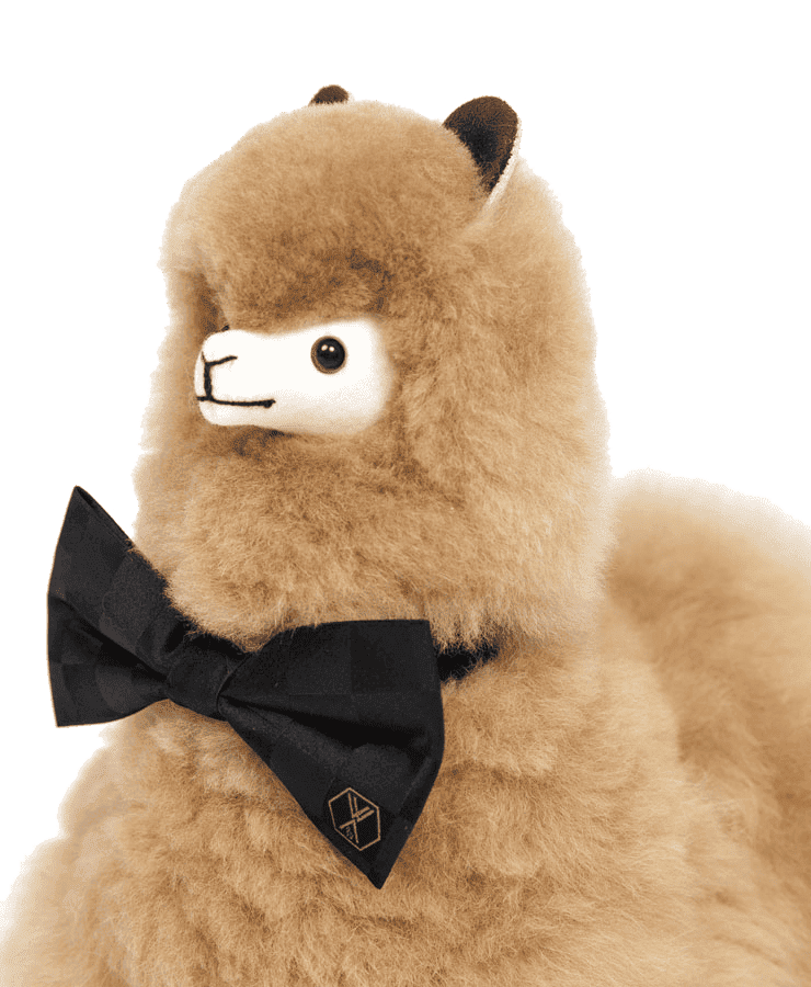 Das Alpaka Stofftier PACO Champagne von Weich Couture Alpaka ist ein Plüschtier mit flauschigem hellbraunem Fell, aufrecht stehenden Ohren, einem weißen Gesicht und einer großen schwarzen Fliege mit gesticktem Emblem.